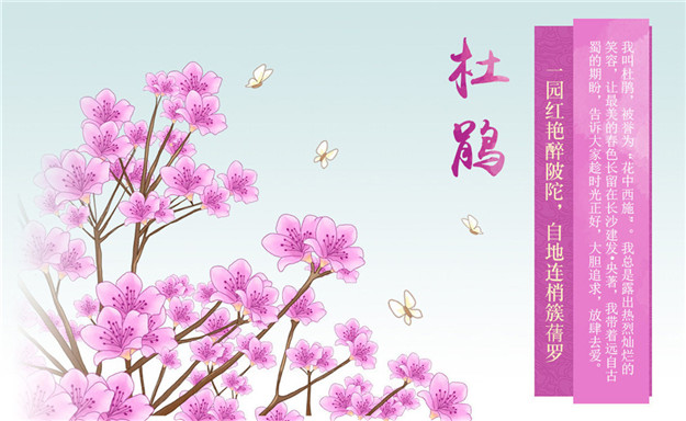 ��ҳ|���������й��ٷ���վ